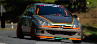 upload/berg_cup_2026/Foto_Fahrzeug_Herbig_Peugeot_206_RC_699d99350a00e.png